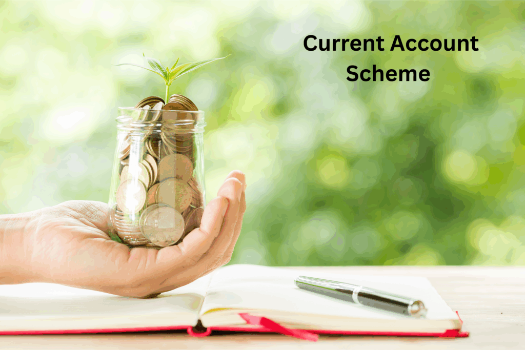 #Vidarbha credits 2025.,.2025